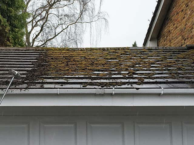 Roof Cleaning - Before
