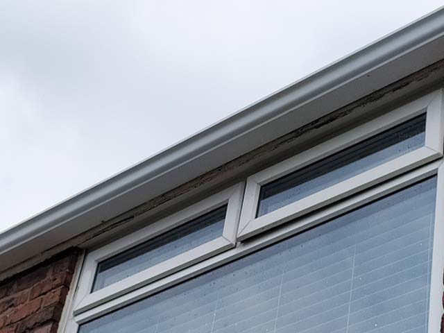 Soffit & Fascia Cleaning - After